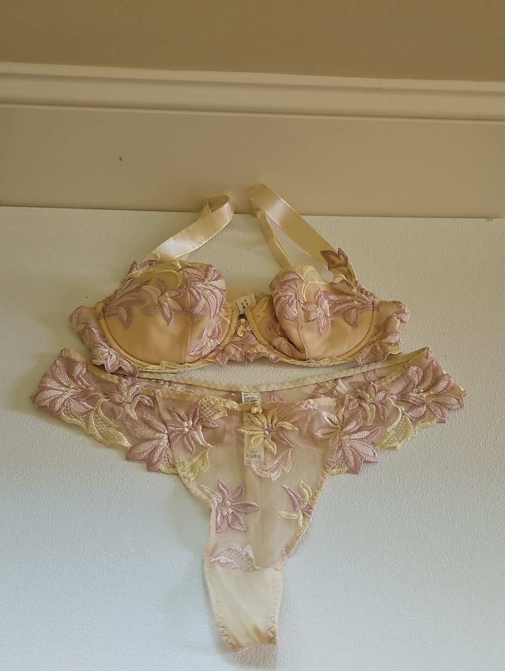lejaby Floral Embroidered Underwire Bra & Thong Set in Pale Pink and Cream